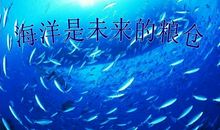 我心中未来的海洋