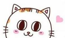 院中可爱的小野猫