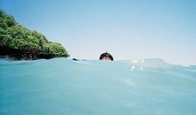 人生处处是风景