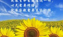 是谁滋润了那生命