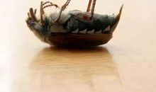 如果地球上没有了苍蝇