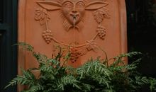 那一刻，生命灿放如花