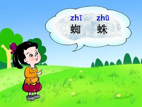 蜘蛛姐姐织网