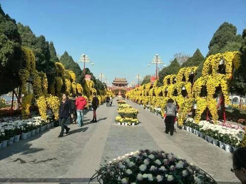 色彩缤纷的公园