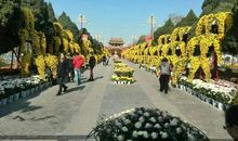 多姿多彩的公园