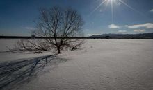 初春的第一场雪