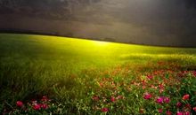 假如我的生命只剩三天