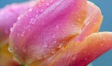 诚信是一笔财富