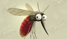 生存不易的蚊子