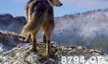 读《女王的鼻子》有感