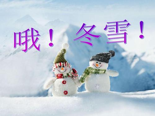 冬季雪作文300字风景
