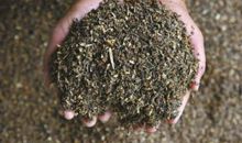 让垃圾变废为宝