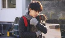 假如世界上没有了猫