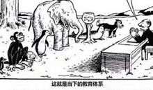 山羊请客看图说话