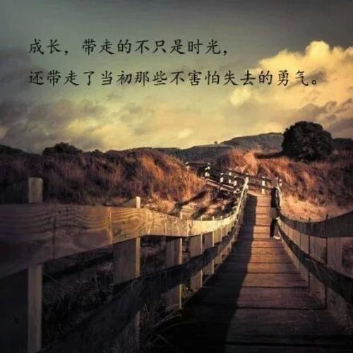 从不后悔