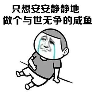 我的战斗