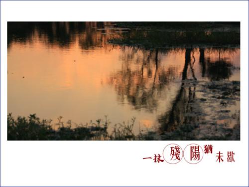 永远不要忘记夕阳