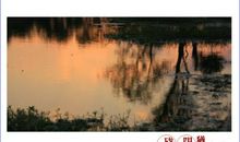 忘不了一抹残阳