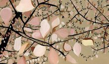 第一次领悟到妈妈的爱