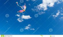 激动人心的风筝赛