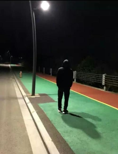 图在路灯下
