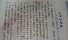 我的五年级观后感