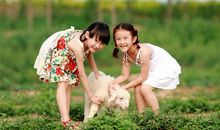 我的好“朋友”