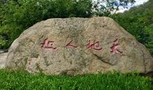 窗外，凉风忽起