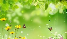 倾听一片向上的声响