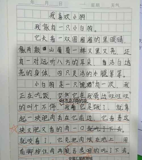 比较老师和路灯组成