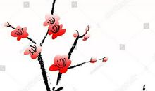 我向往，寒梅一样的人生