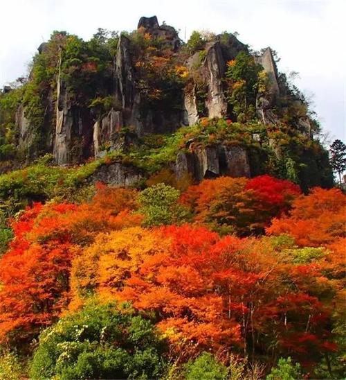 充满香气的旅程