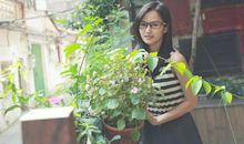 那盛夏里的平凡日子