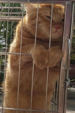 吵架了