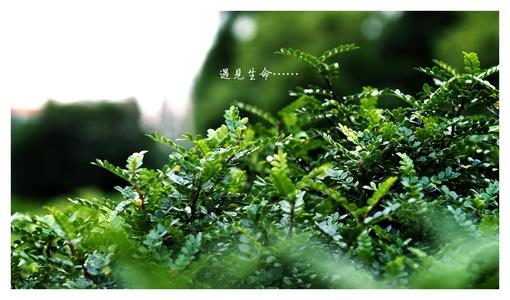 满足生活之美