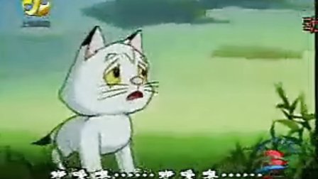 小猫游荡