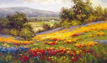 那个美丽的谎言