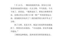 最好玩的国王作文300字