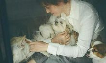 遇见你，陪伴你