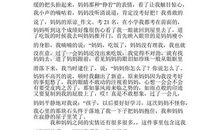 以原谅为题作文