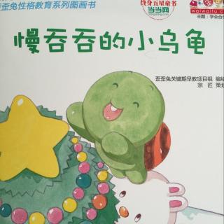 我与小乌龟的故事
