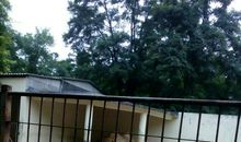 参观邢台动物园