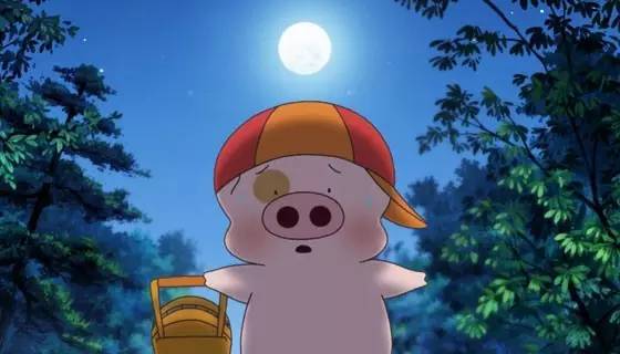 与动漫一同成长