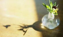 安静的石头读后感