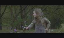 我有一颗勇敢的心