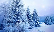 冬天的雪景让我陶醉