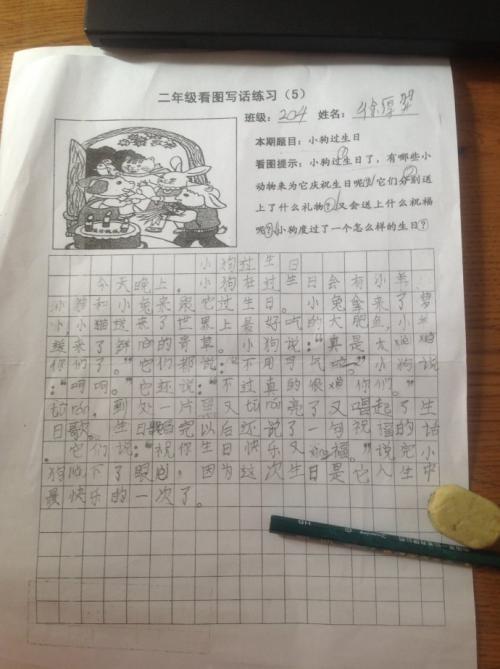 关于狗忠诚度的600字文章