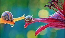 我爱这丰富多彩的世界