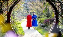 藏在时光深处的芬芳