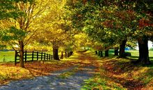 校园秋色作文300字三年级